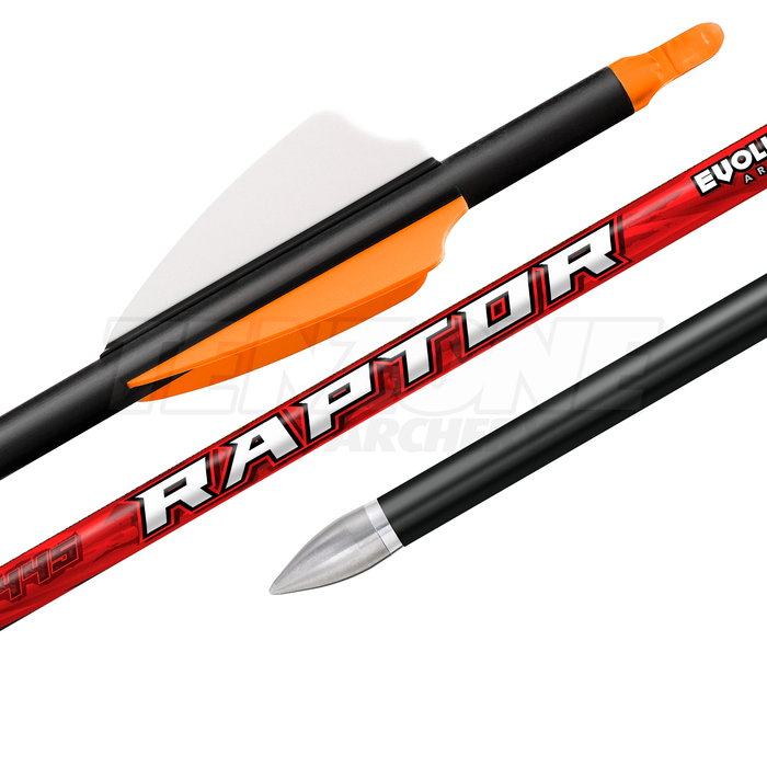 Evolusion - Raptor Fletched Arrow - 12 pack